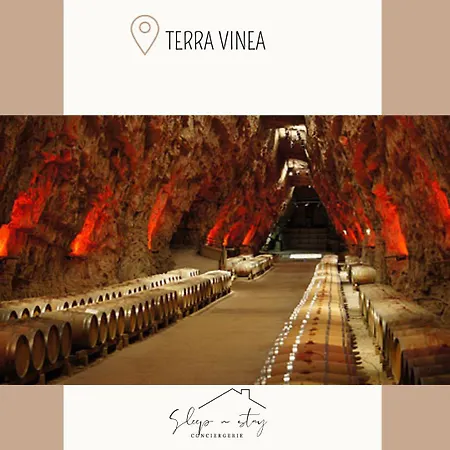 Apartman La Terasse Carcassone