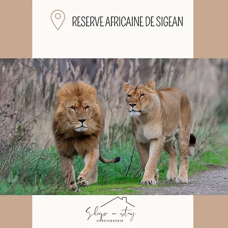 La Terasse Carcassone