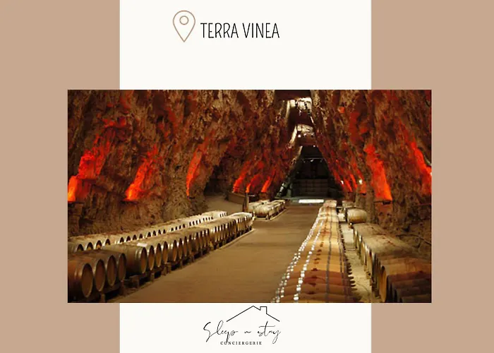 Apartment La Terasse Carcassonne